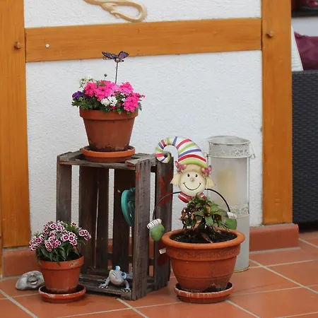 Ferienhaus Haus Winkelchen