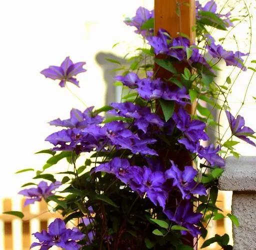 Holiday home Haus Winkelchen Cochem